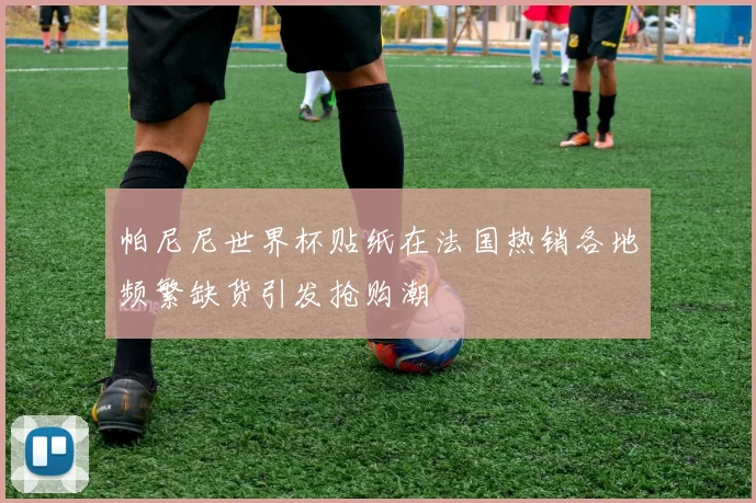 帕尼尼世界杯贴纸在法国热销各地频繁缺货引发抢购潮